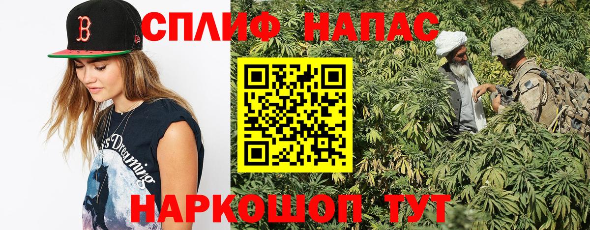 Каннабис планчик  Вход с VPN  Бошки марихуана Ganja  Салават  Бошки Шишки Bruce Banner 